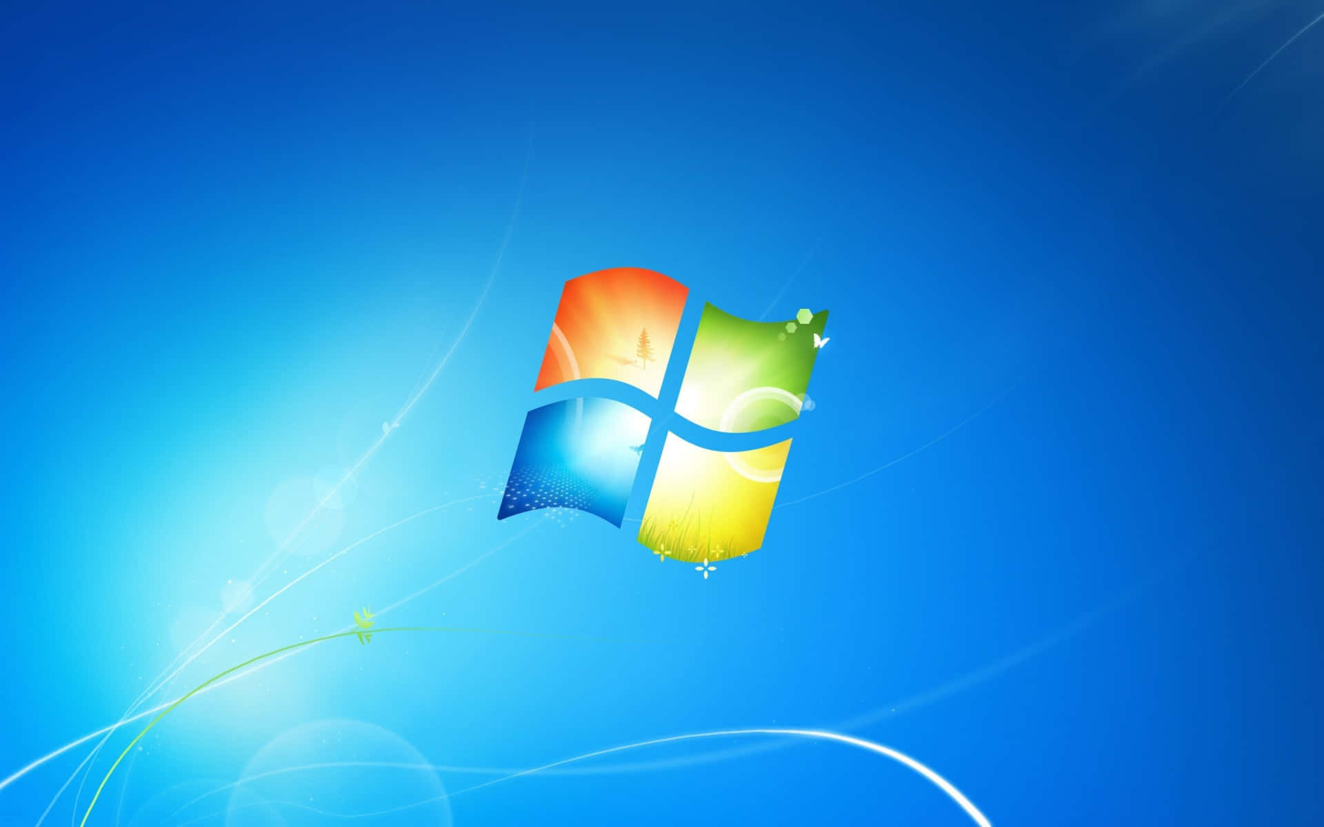 windows.jpg